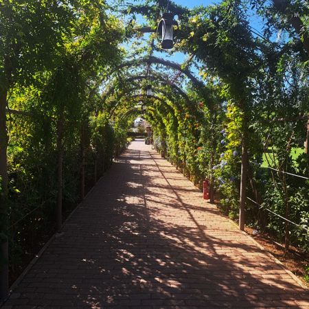 Κτήμα Αρίστη