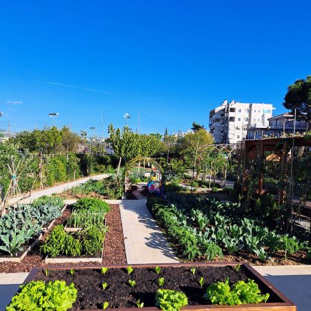 Κτήμα Αρίστη