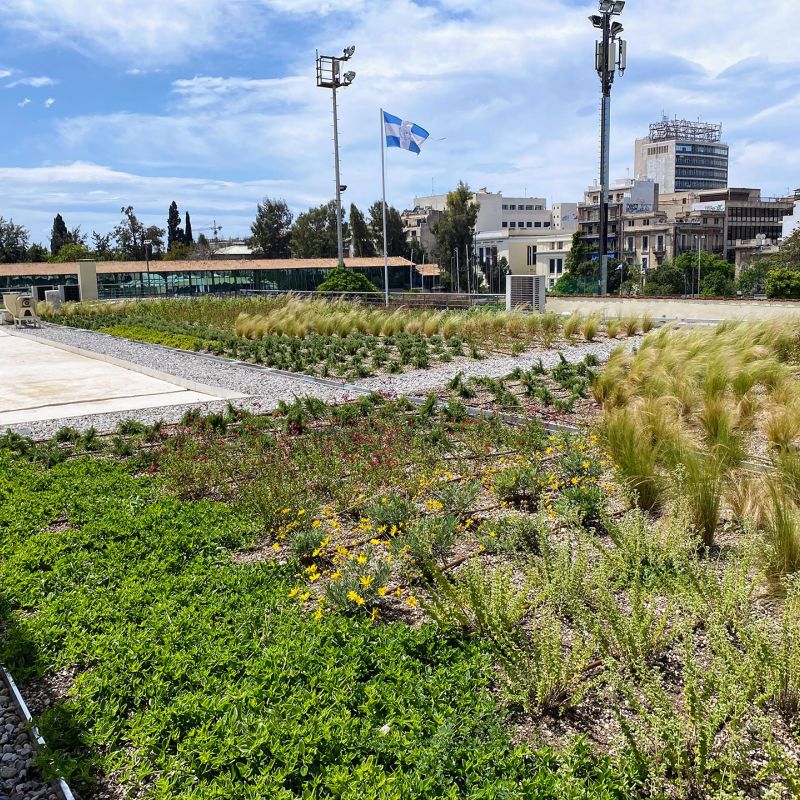 Φυτεμένο Δώμα στον Πανελλήνιο Γ.Σ. Αθήνα