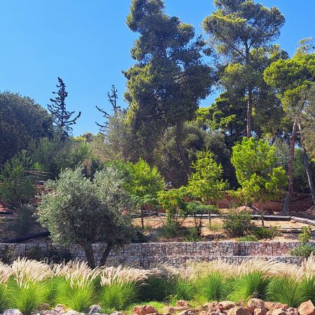 Αστήρ Μαρίνα Βουλιαγμένης