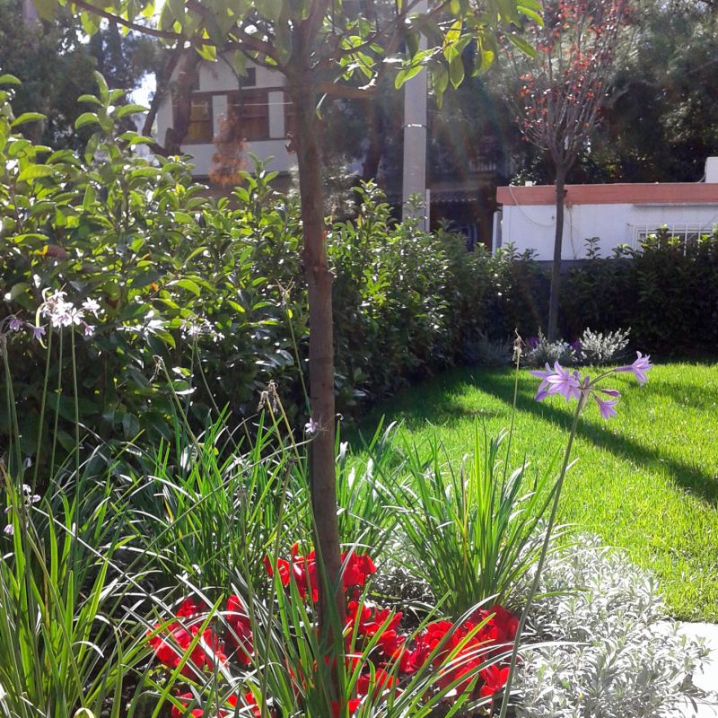 Ιδιωτική Κατοικία στην Πολιτεία